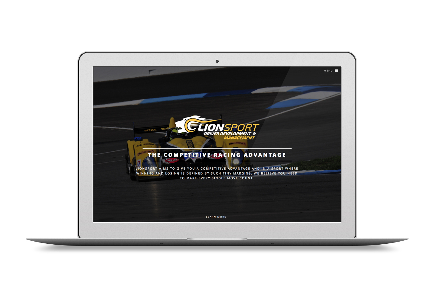 Lionsport Professional Driver Management and Coaching