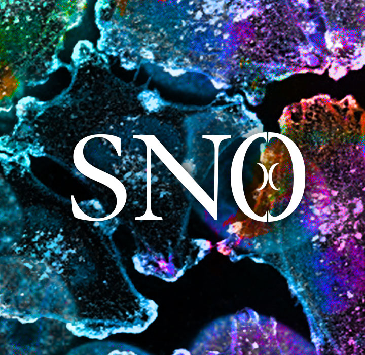 Society for Neuro-Oncology