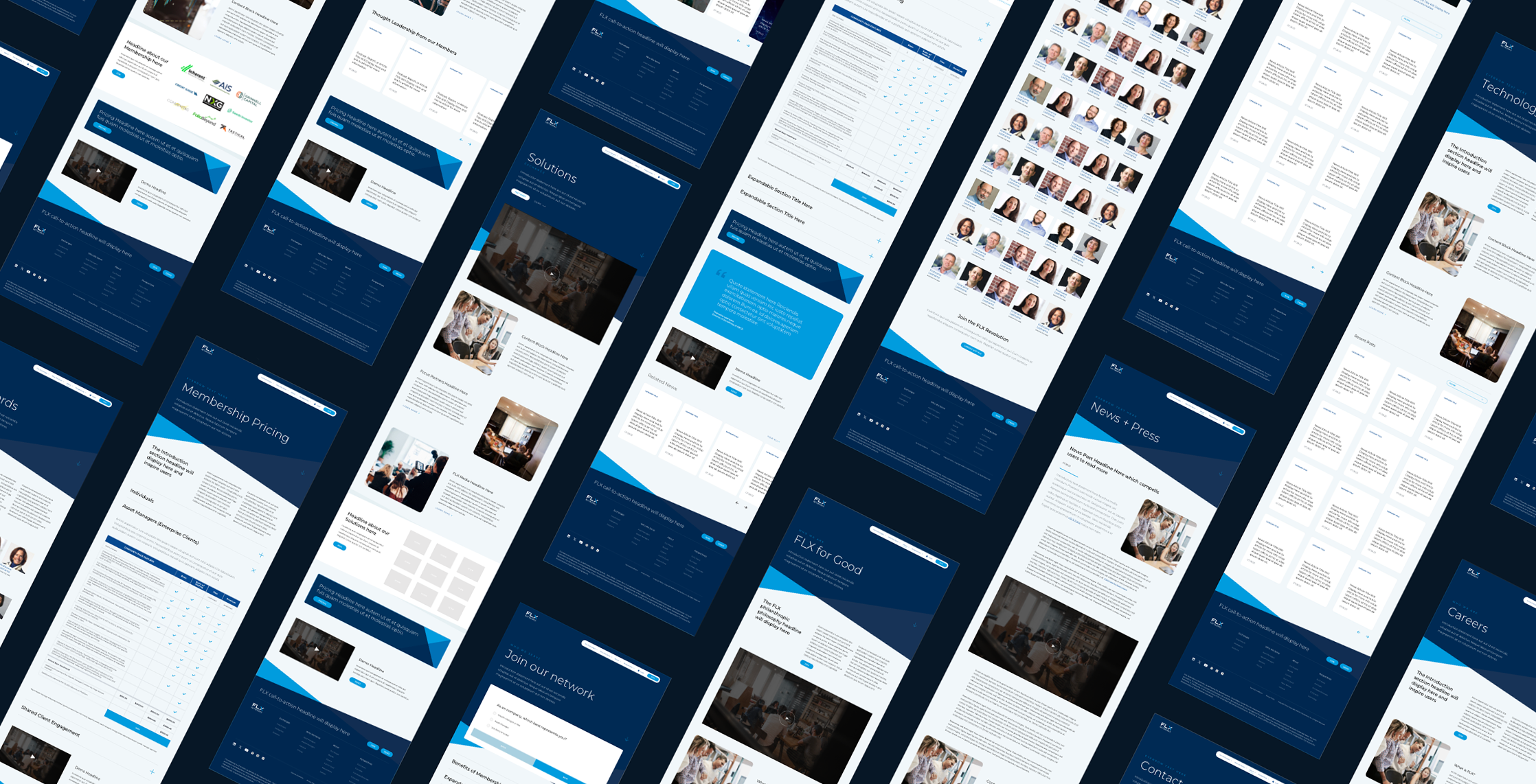 FLX Website UI UX Design System